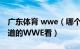 广东体育 wwe（哪个网站可以看广东体育频道的WWE看）