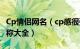 Cp情侣网名（cp感很强的情侣网名 情侣cp昵称大全）