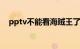 pptv不能看海贼王了吗（为什么没有了）