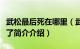 武松最后死在哪里（武松什么时候死的被谁杀了简介介绍）