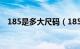 185是多大尺码（185是多大码简介介绍）