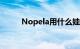 Nopela用什么娃娃简介来介绍她