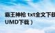 霸王神枪 txt全文下载（霸王神枪全集电子书UMD下载）