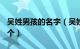 吴姓男孩的名字（吴姓男宝宝取名大全年200个）