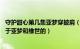 守护甜心第几集亚梦穿披肩（守护甜心从65集往后那些是关于亚梦和维世的）