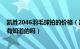 凯胜2046羽毛球拍的价格（凯胜2046拍子怎么样具体参数有知道的吗）