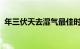 年三伏天去湿气最佳时间三伏天如何去湿气