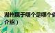 湖州属于哪个是哪个省（湖州属于哪个省简介介绍）