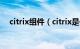 citrix组件（citrix是什么软件简介介绍）