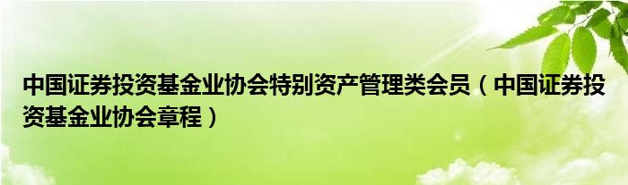 中国证券投资基金业协会特别资产管理类会员（中国证券投资基金业协会章程）