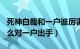 死神白哉和一户谁厉害（死神241话白哉为什么对一户出手）