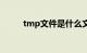 tmp文件是什么文件（tmp文件）