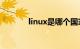 linux是哪个国家的（Linux）