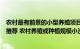 农村最有前景的小型养殖项目（适合穷人没本钱的养殖项目推荐 农村养殖或种植规模小没本钱投入怎么办）