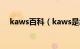 kaws百科（kaws是怎么火的简介介绍）