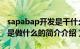 sapabap开发是干什么的（abap开发工程师是做什么的简介介绍）