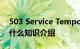 503 Service Temporarily Unavailable是什么知识介绍