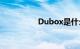 Dubox是什么知识介绍