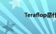 Teraflop是什么知识介绍