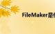 FileMaker是什么知识介绍