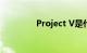 Project V是什么知识介绍