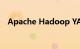 Apache Hadoop YARN是什么知识介绍