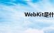 WebKit是什么知识介绍