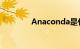 Anaconda是什么知识介绍