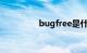 bugfree是什么知识介绍