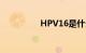 HPV16是什么知识介绍