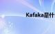 Kafaka是什么知识介绍