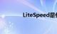 LiteSpeed是什么知识介绍