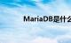 MariaDB是什么意思知识介绍