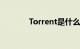 Torrent是什么文件知识介绍