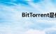 BitTorrent是什么知识介绍