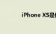 iPhone XS是什么知识介绍