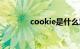 cookie是什么意思知识介绍