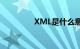 XML是什么意思知识介绍