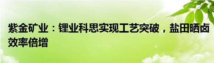 紫金矿业：锂业科思实现工艺突破，盐田晒卤效率倍增