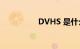 DVHS 是什么知识介绍