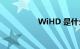 WiHD 是什么知识介绍