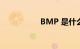 BMP 是什么知识介绍