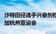 沙特田径选手兴奋剂检测阳性，被临时禁止参加杭州亚运会