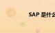 SAP 是什么知识介绍