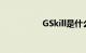 GSkill是什么知识介绍