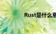 Rust是什么意思知识介绍