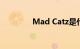 Mad Catz是什么知识介绍