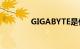 GIGABYTE是什么知识介绍