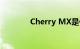 Cherry MX是什么知识介绍