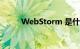 WebStorm 是什么软件知识介绍
